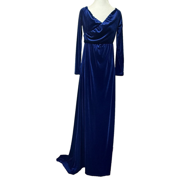 Womens Velvet Victorian Festival Maxi Dress Size M Renfair Whimsygoth Regal Glam - Picture 1 of 11